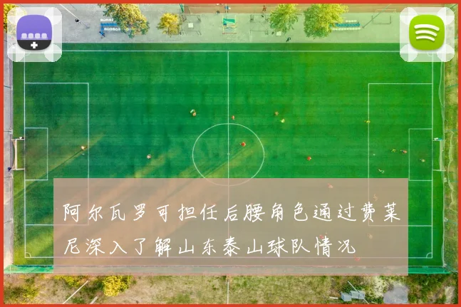 阿尔瓦罗可担任后腰角色通过费莱尼深入了解山东泰山球队情况